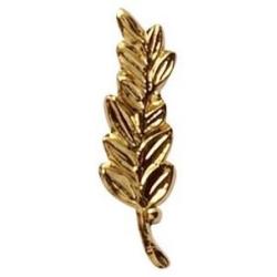 Palme pour m&eacute;daille r&eacute;duction Or