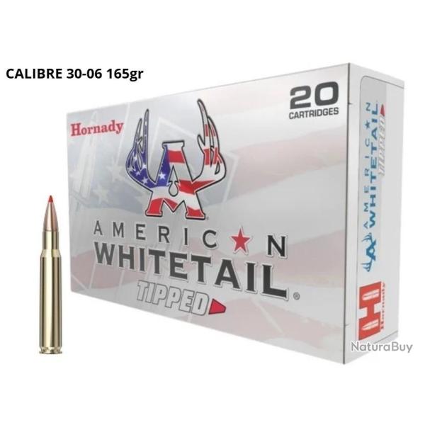 MUNITIONS HORNADY AWT CALIBRE 30-06 SST 165gr - 10.7g x20