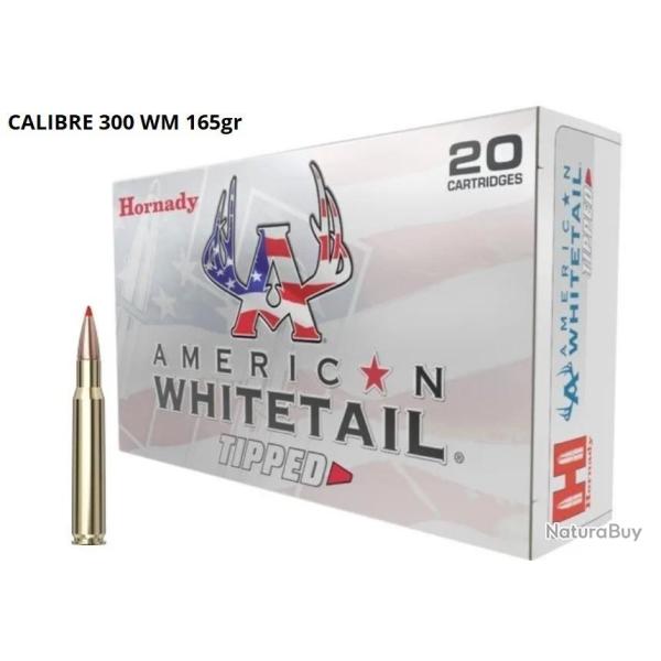 MUNITIONS HORNADY AWT CALIBRE 300 WM SST 165gr - 10.7g x20