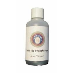 ARMISTOL-SAPO Phosphatage A Diluer pour 5L