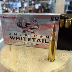 HORNADY americain WHITETAIL TIPPED 243 WIN