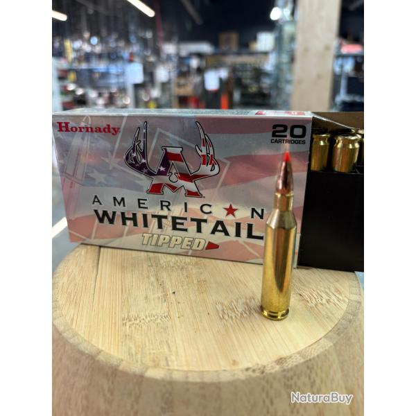 HORNADY americain WHITETAIL TIPPED 243 WIN