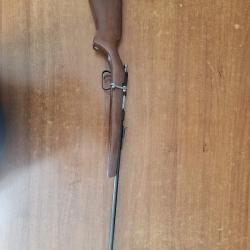 carabine 5.5 bosquette