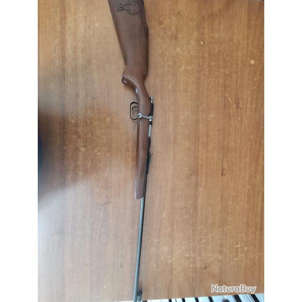 carabine 5.5 bosquette