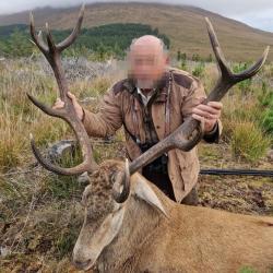 SEJOUR DE CHASSE AU CERF ELAPHE, SIKA ET DAIM EN IRLANDE