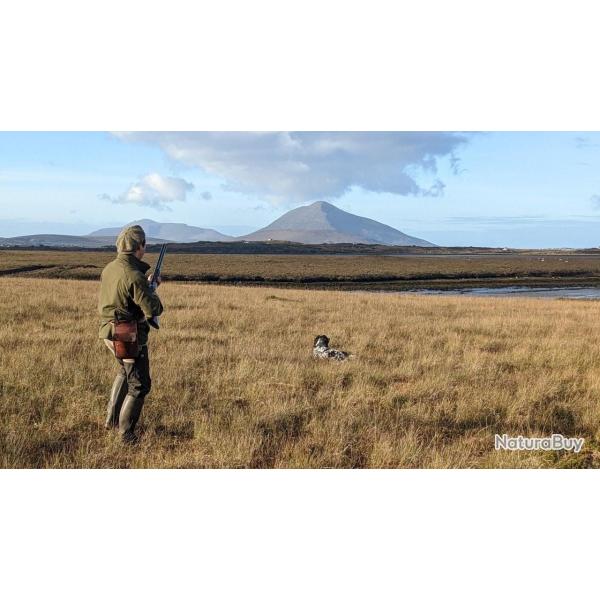 SEJOUR DE CHASSE A LA BECASSE ET BECASSINE EN IRLANDE