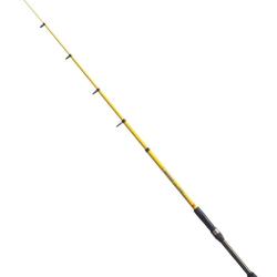 ARCA CANNE TRUITE COMPACT T&Eacute;L&Eacute; SPIN 2M10 ARCA T&eacute;l&eacute;scopique
