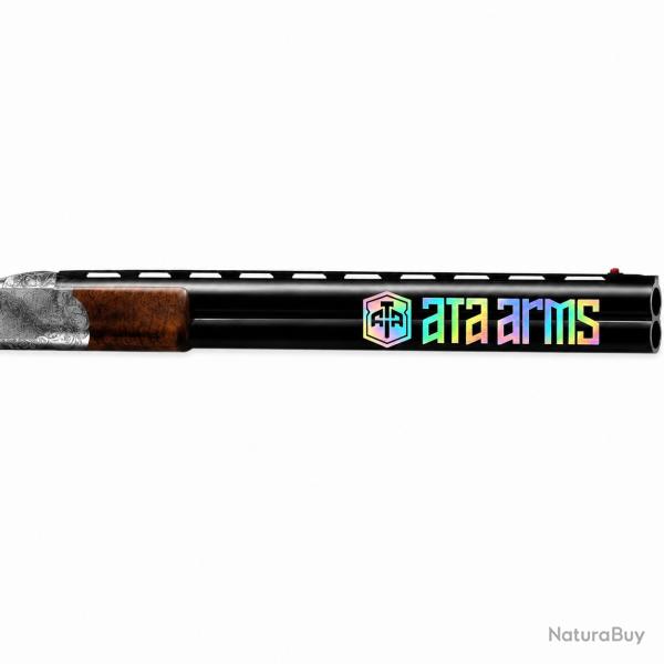 2 Stickers autocollants Premium Canon ATA ARMS HOLOGRAPHIQUE LASER Exp�dition sous 24H Garantie !
