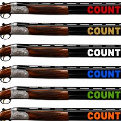 2 Stickers autocollants PREMIUM Canon COUNTRY Exp&eacute;dition sous 24H GARANTIE.