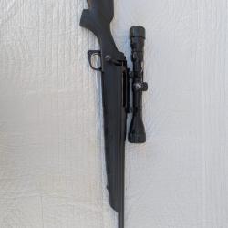 Carabine Remington 770 calibre 270 Win + Bushnell 3-9x 42