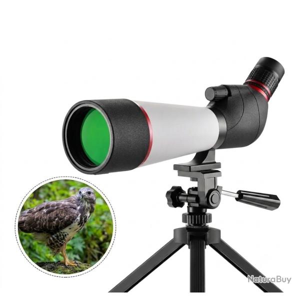 Longue-vue 20-60x80 �tanche - Prisme BAK4 - Tr�pied - Adaptateur Smartphone - Observation & Tir
