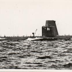 Photographie sous-marin Draken - N&deg;8511
