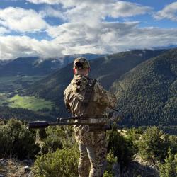 Chasse &agrave; l'approche dans les Pyr&eacute;n&eacute;es et Ari&egrave;ge