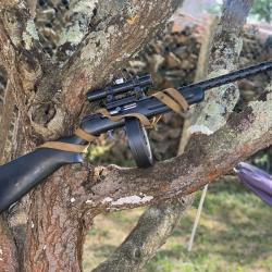 carabine 22Lr PIETTA mod&egrave;le PPS/50 "PUMA"
