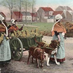 Carte Postale Ancienne - Sc&egrave;ne de Rue en Belgique - N&deg;8519