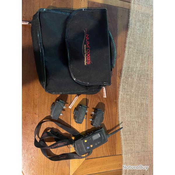 Canicom 1500 dressage