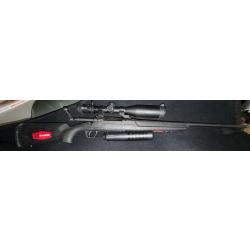 Savage axis 308win