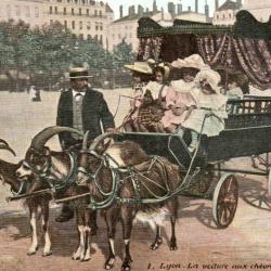 Carte postale ancienne de Lyon - N&deg;8525