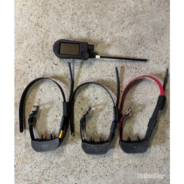Pack collier centrale Sportdog tek 2.0 dressage/rep�rage