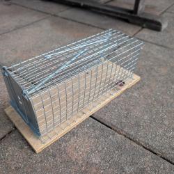 Nasse &agrave; rats, pi&egrave;ge pour Animaux, Cage-pi&egrave;ge