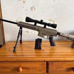 Pallas 22lr