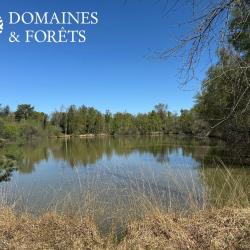 Propri&eacute;t&eacute; de Loisirs et de Chasse et de P&ecirc;che d'environ 9 hectares dans le Cher (18) DF-2002-S