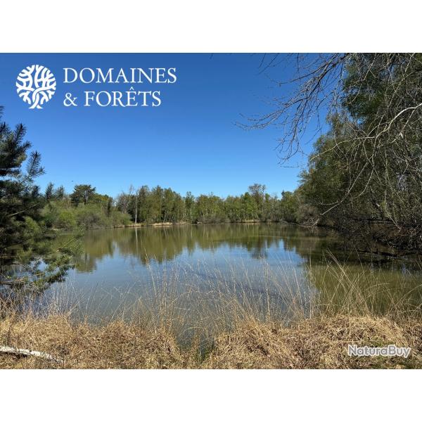 Propri�t� de Loisirs et de Chasse et de P�che d'environ 9 hectares dans le Cher (18) DF-2002-S