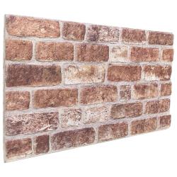 Panneaux muraux 10 pcs Marron 100 x 50 cm Mousse EPS
