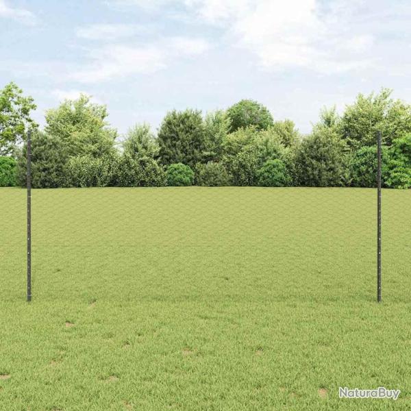 Cl�ture hexagonale avec poteau 10 x 1,2 m Gris Maille