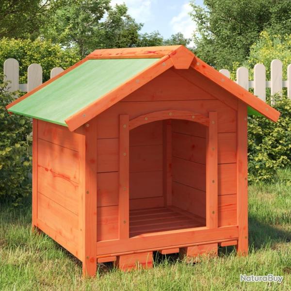 Chenil marron 65x65x61,5 cm bois de pin solide