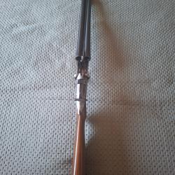 Darne r10