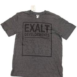Exalt T Shirt Grey Developpement M