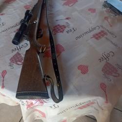 MAUSER 66