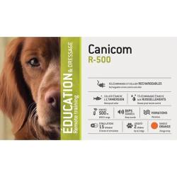 Ensemble de dressage rechargeable CANICOM R-500