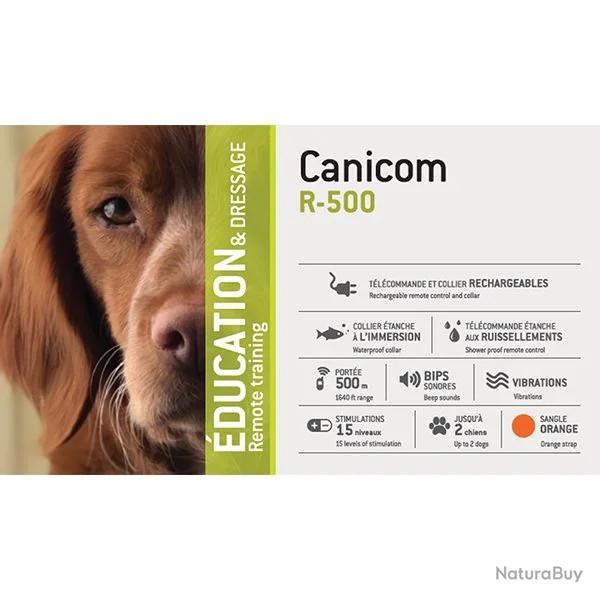 Ensemble de dressage rechargeable CANICOM R-500