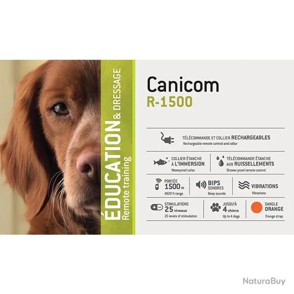 Ensemble de dressage rechargeable CANICOM R-1500