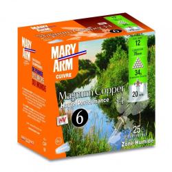 CARTOUCHES MARY ARM CAL 12/76 MAGNUM COPPER 34 GR 4
