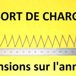 ressort de chargeur long 190mm larg 21.14mm &eacute;paisseur 6.14mm - VENDU PAR JEPERCUTE (D7F15)