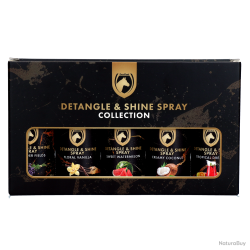 Detangle & Shine Spray Gift Set - Ref EQDR8060A - EAN 8716759666191 - Excellent Horse