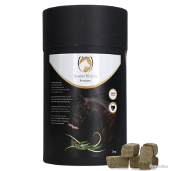 Excellent Horse Sweet Blocks Eucalyptus - Ref PAMR004 - EAN 8716759445505 - Livraison rapide