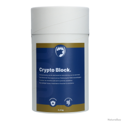 Excellent Crypto Block - Ref CBLO02400 - EAN 8716759643208 - Livraison rapide