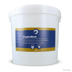 Excellent Crypto Block - Ref CBLO04800 - EAN 8716759655140 - Livraison rapide