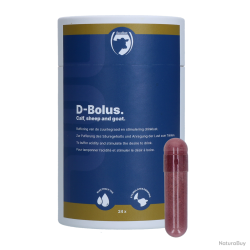Excellent D-Bolus (Bicarbonate) - Ref DELA0024 - EAN 8716759502451 - Livraison rapide
