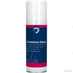 Excellent Aluminium Spray - Ref EPPL0220 - EAN 8716759513730 - Livraison rapide