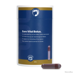 Excellent Euro-Vital Bolus - Ref EURO00004 - EAN 8716759502437 - Livraison rapide