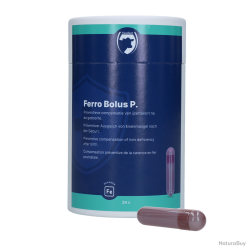 Excellent Ferro Bolus P - Ref FERR00002 - EAN 8716759658615 - Livraison rapide