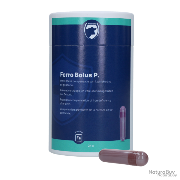 Excellent Ferro Bolus P - Ref FERR00002 - EAN 8716759658615 - Livraison rapide