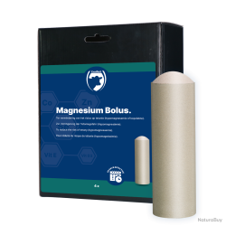 Excellent Magnesium Bolus - Ref GISG0047 - EAN 8716759617131 - Livraison rapide