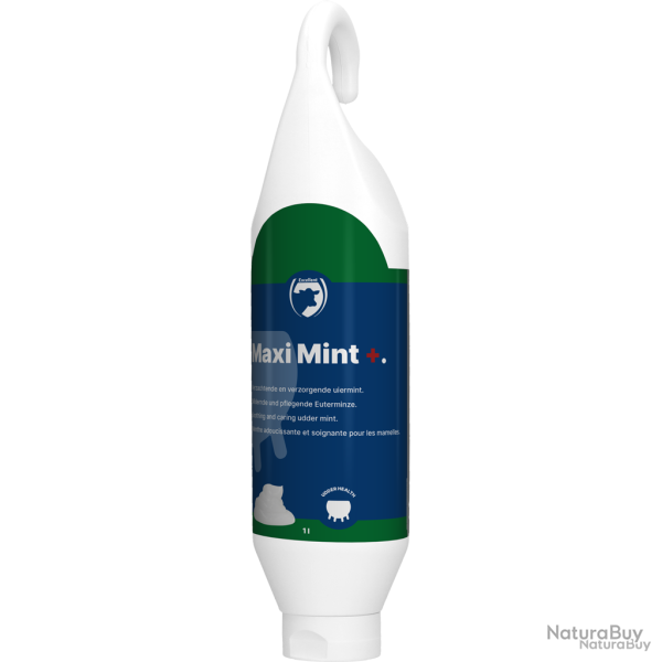Excellent Maxi Mint+ - Ref GUTE0915 - EAN 8716759541146 - Livraison rapide