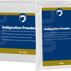 Excellent Indigestion Powder - Ref INDI0009 - EAN 8716759446939 - Livraison rapide